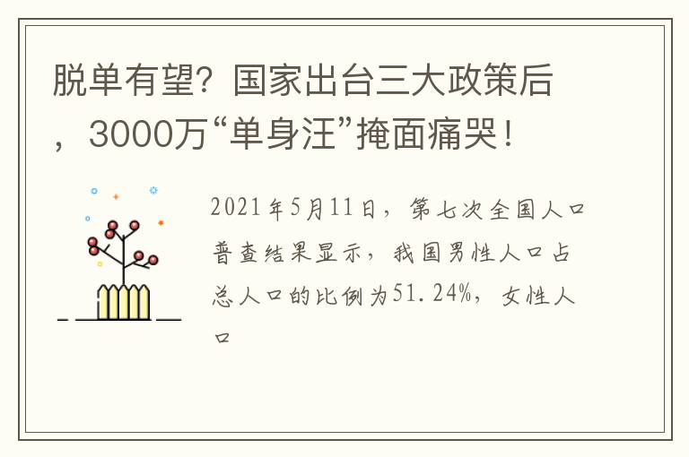 脱单有望？国家出台三大政策后，3000万“单身汪”掩面痛哭！