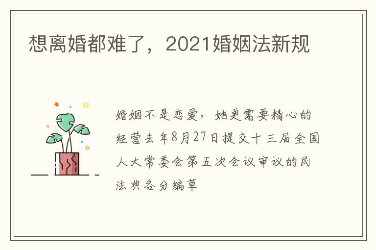 想离婚都难了，2021婚姻法新规