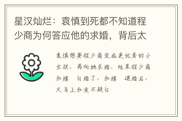 星汉灿烂：袁慎到死都不知道程少商为何答应他的求婚，背后太凉薄